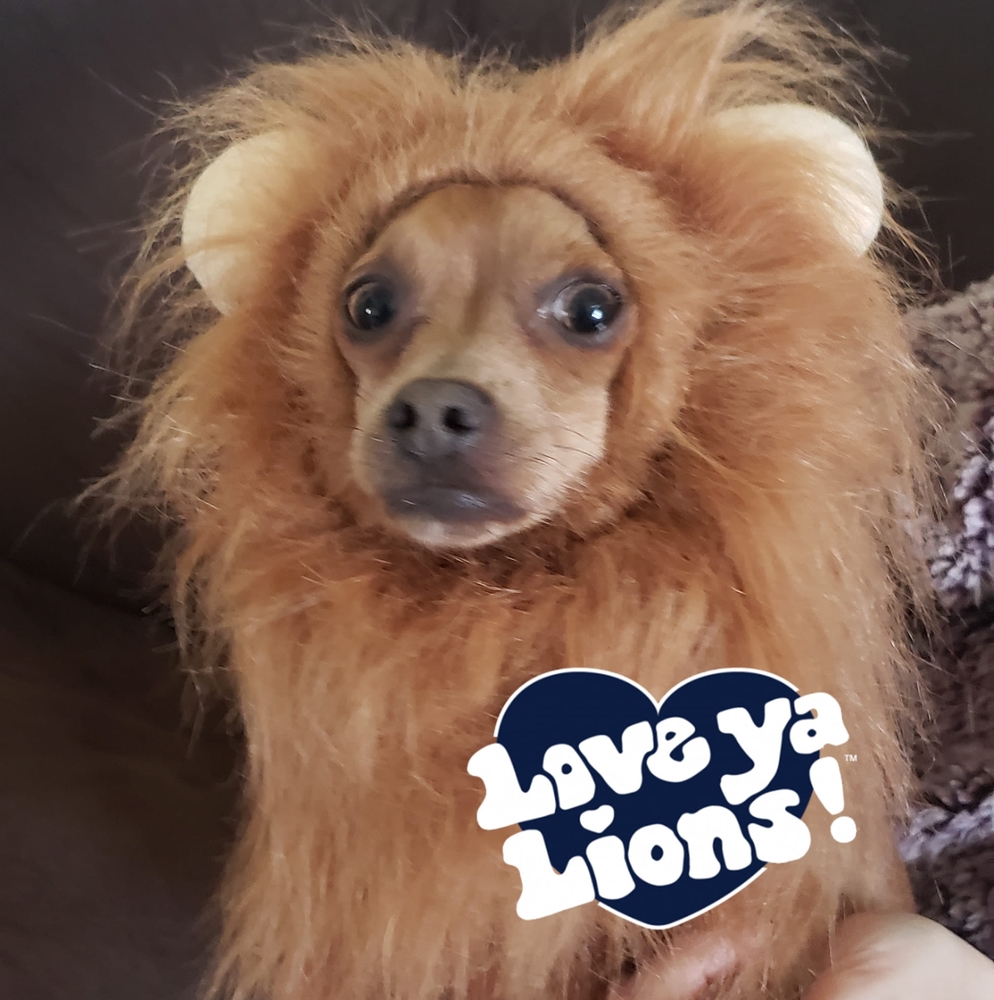 Meet your Posher, Cdubb